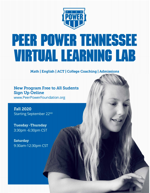 Peer Power Virtual Lab 